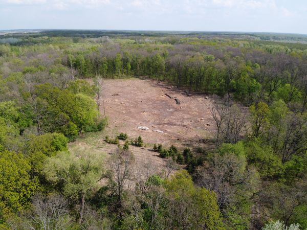 Rockford Land Clearing