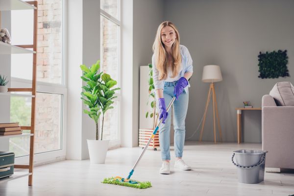Rockford Interior Cleaning