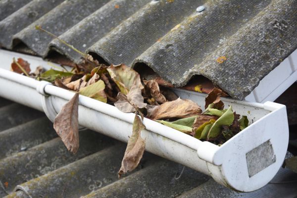Rockford Gutter Cleaning